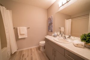 Edmonton Home Staging Bathroom
